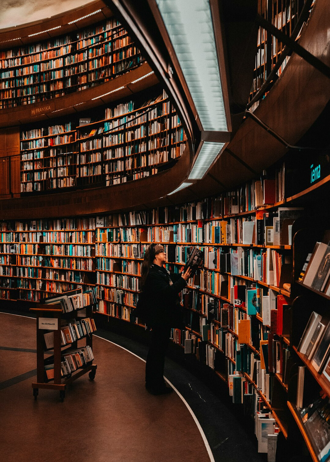 person searching for truth in library