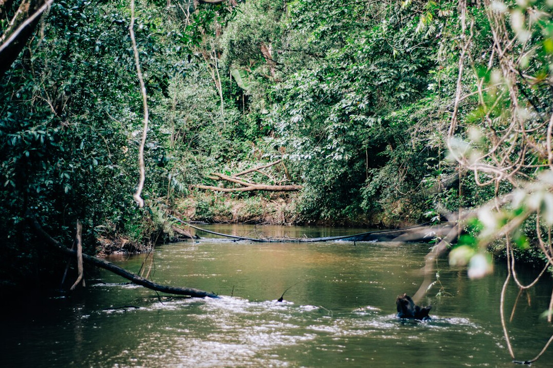 environmental investigation